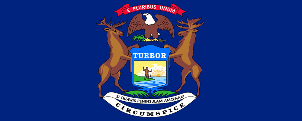 NCDD IN MICHIGAN UNITED STATES